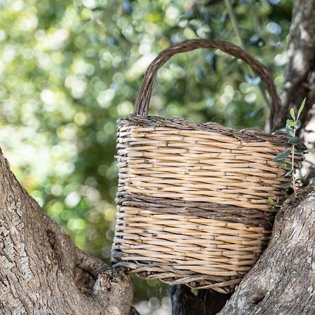 Willa Trullo Leone Martina Franca Zewnętrze zdjęcie