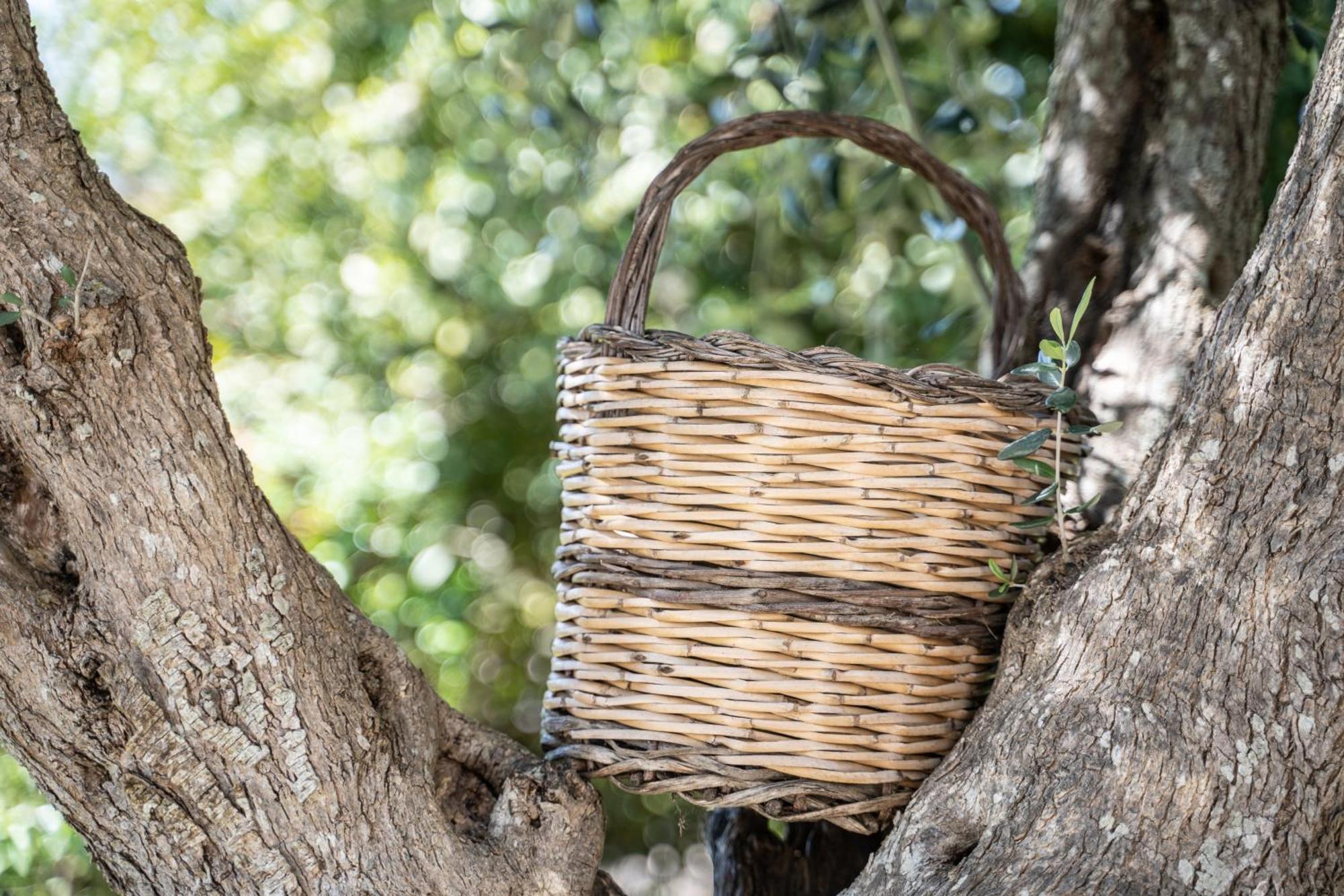 Willa Trullo Leone Martina Franca Zewnętrze zdjęcie