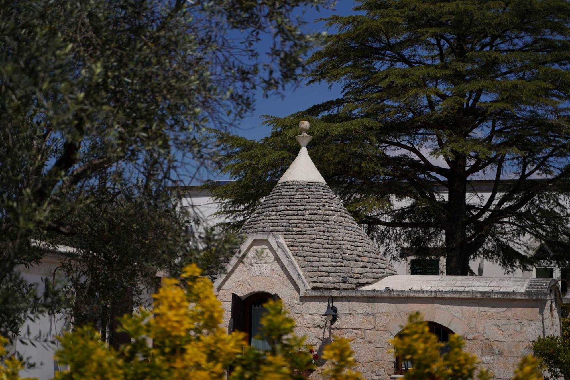 Willa Trullo Leone Martina Franca Zewnętrze zdjęcie